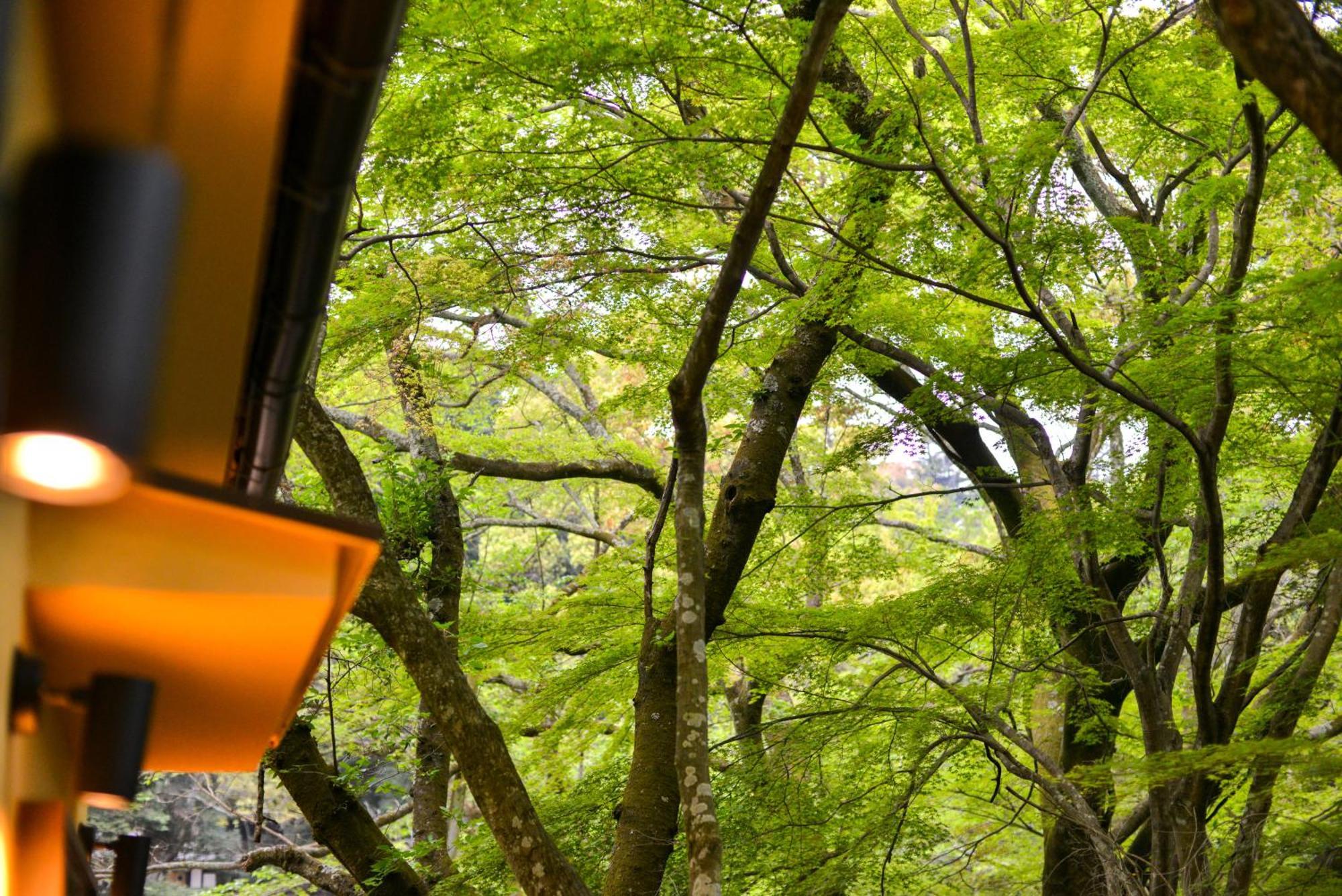 Villa Hamorebi Hatsukaichi Dış mekan fotoğraf